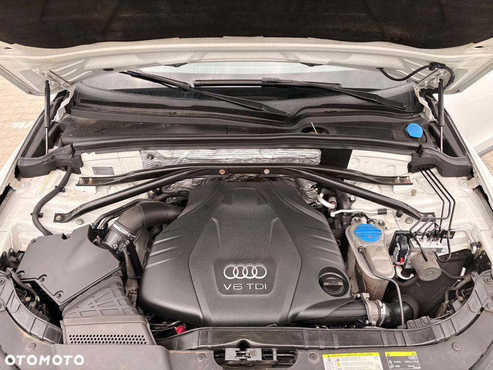 Audi Q5 - 17