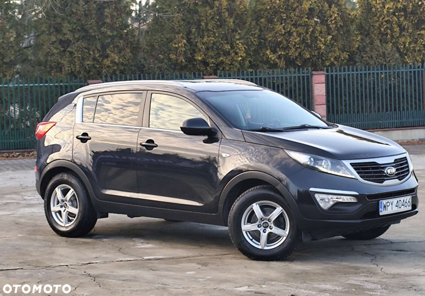 Kia Sportage - 29