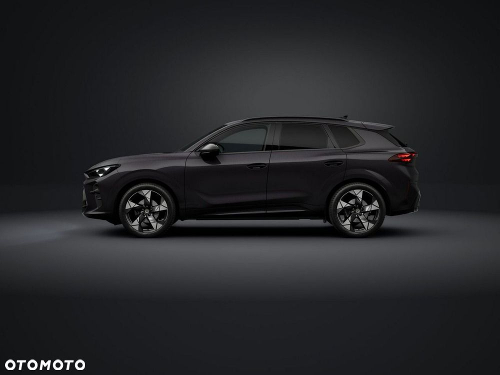 Cupra Terramar - 2