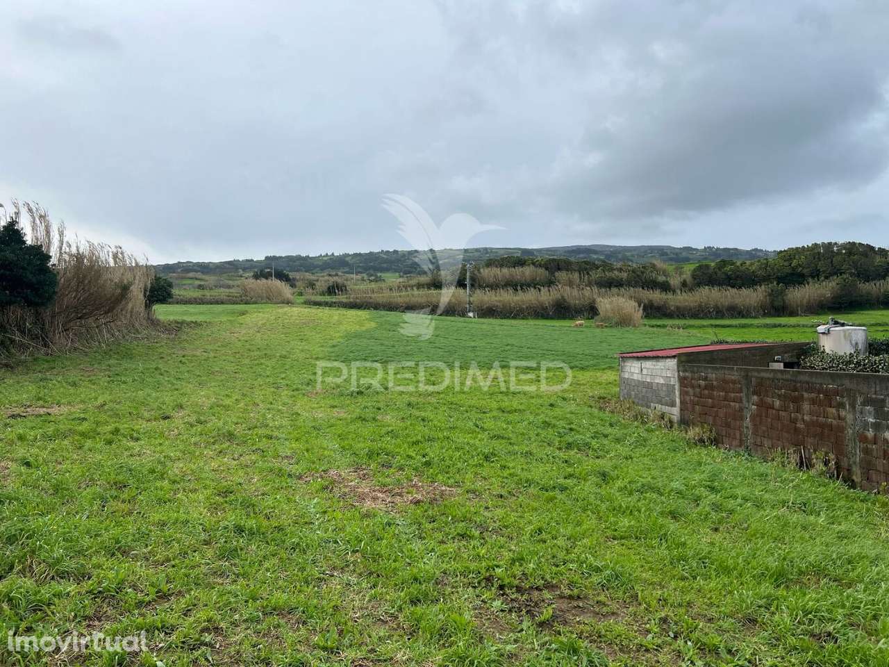 Terreno Misto, para venda, nos Cedros, Horta - Grande imagem: 2/4