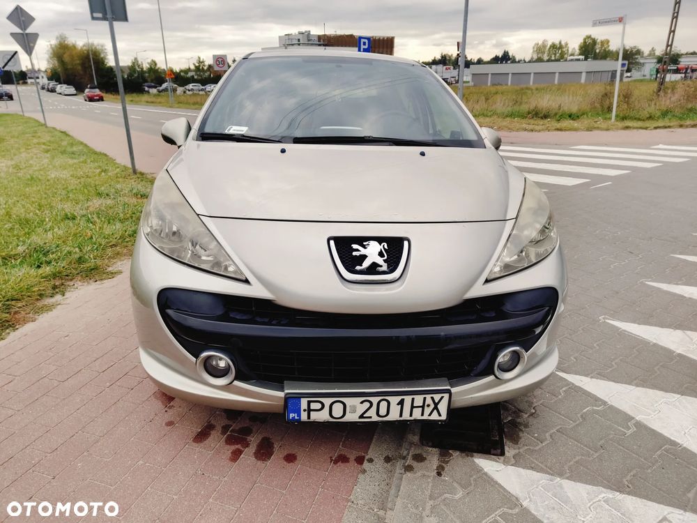 Peugeot 207 - 15
