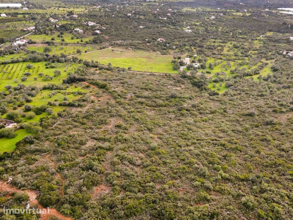 Terreno com 85,640 m2 localizado em Foupana, Olhão, Algarve - Grande imagem: 4/22