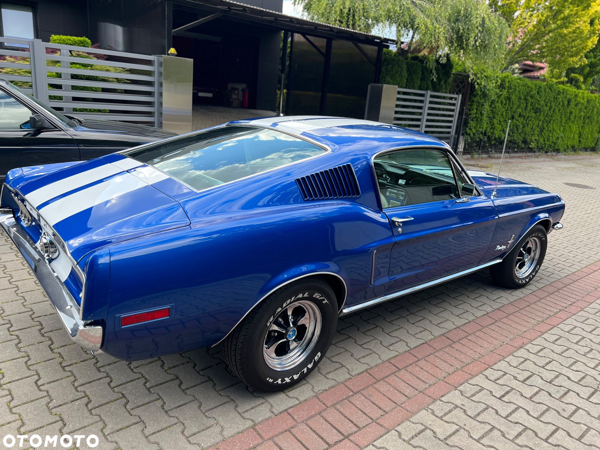 Ford Mustang - 16