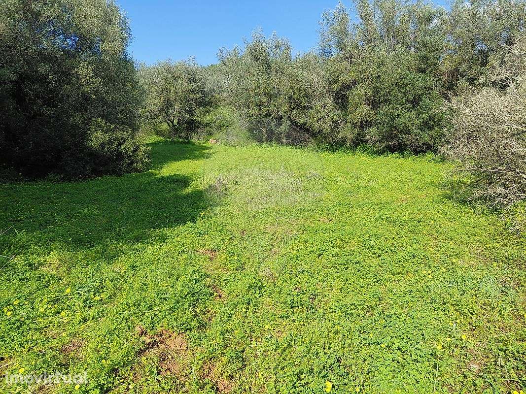 Terreno  para venda - Grande imagem: 5/15