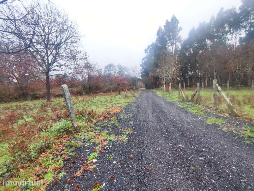 Terreno 1.592 m² em São Pedro da Torre . - Grande imagem: 3/5
