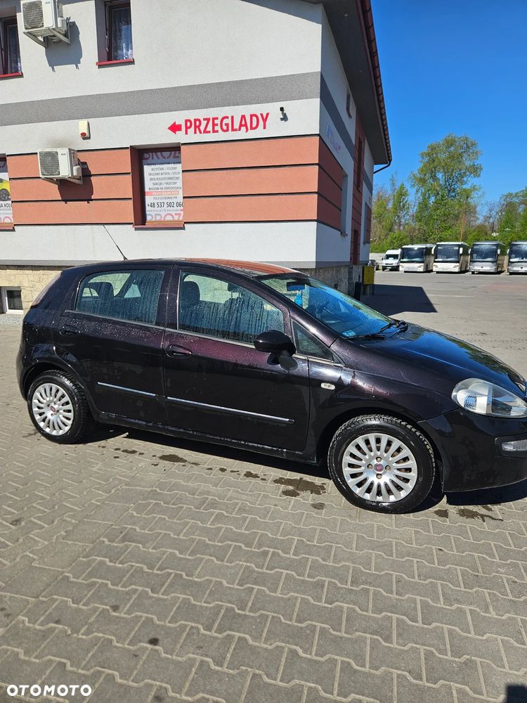 Fiat Punto 1.3 Multijet Easy - 3