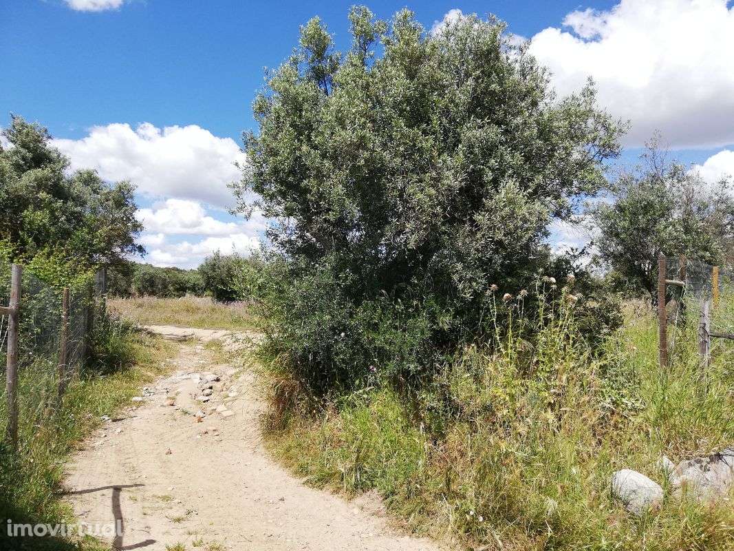 Terreno  para venda - Grande imagem: 4/21