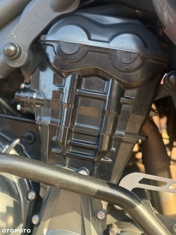 Triumph Tiger - 38