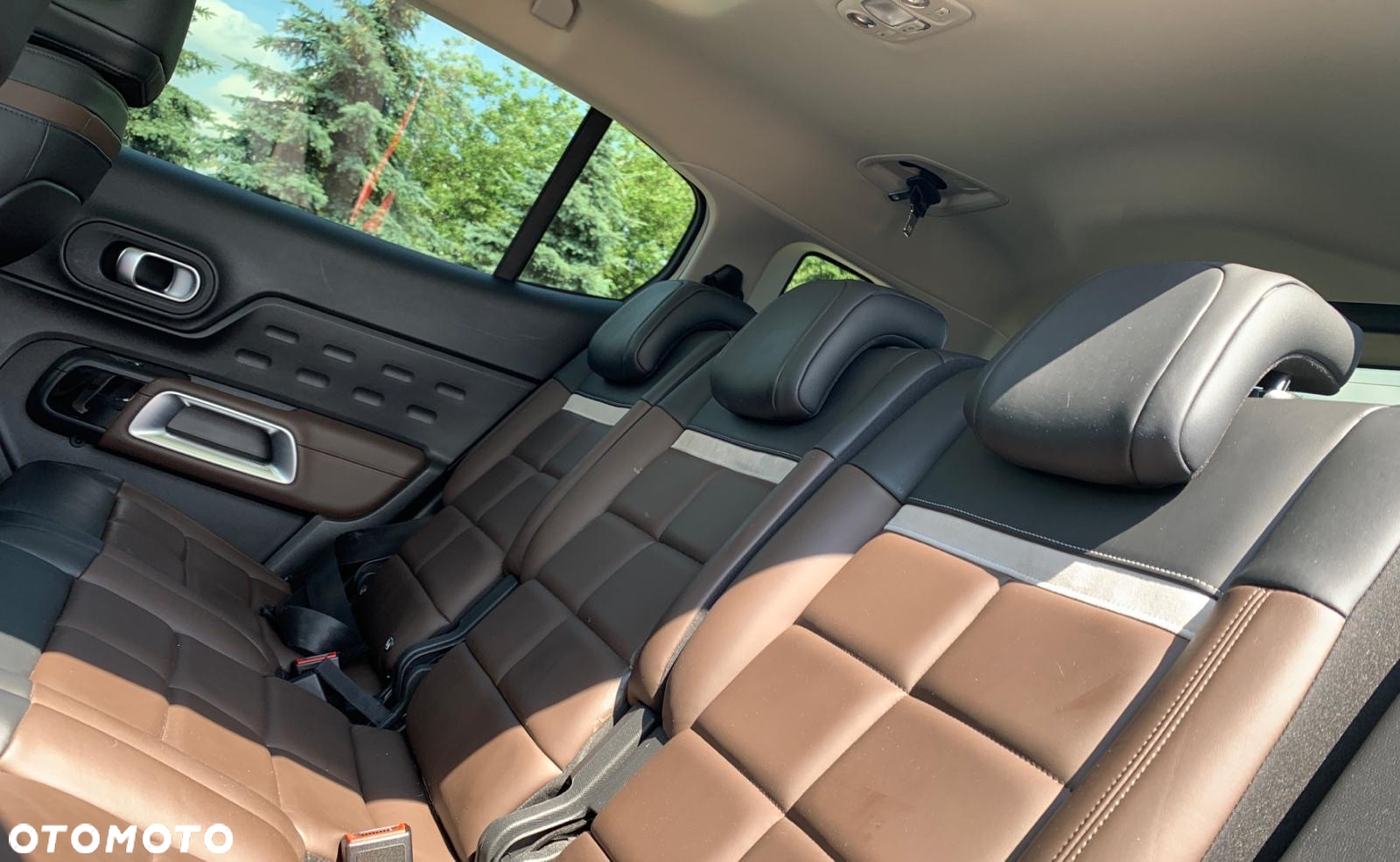 Citroën C5 Aircross Pure Tech 180 S&S EAT8 SHINE PACK - 21