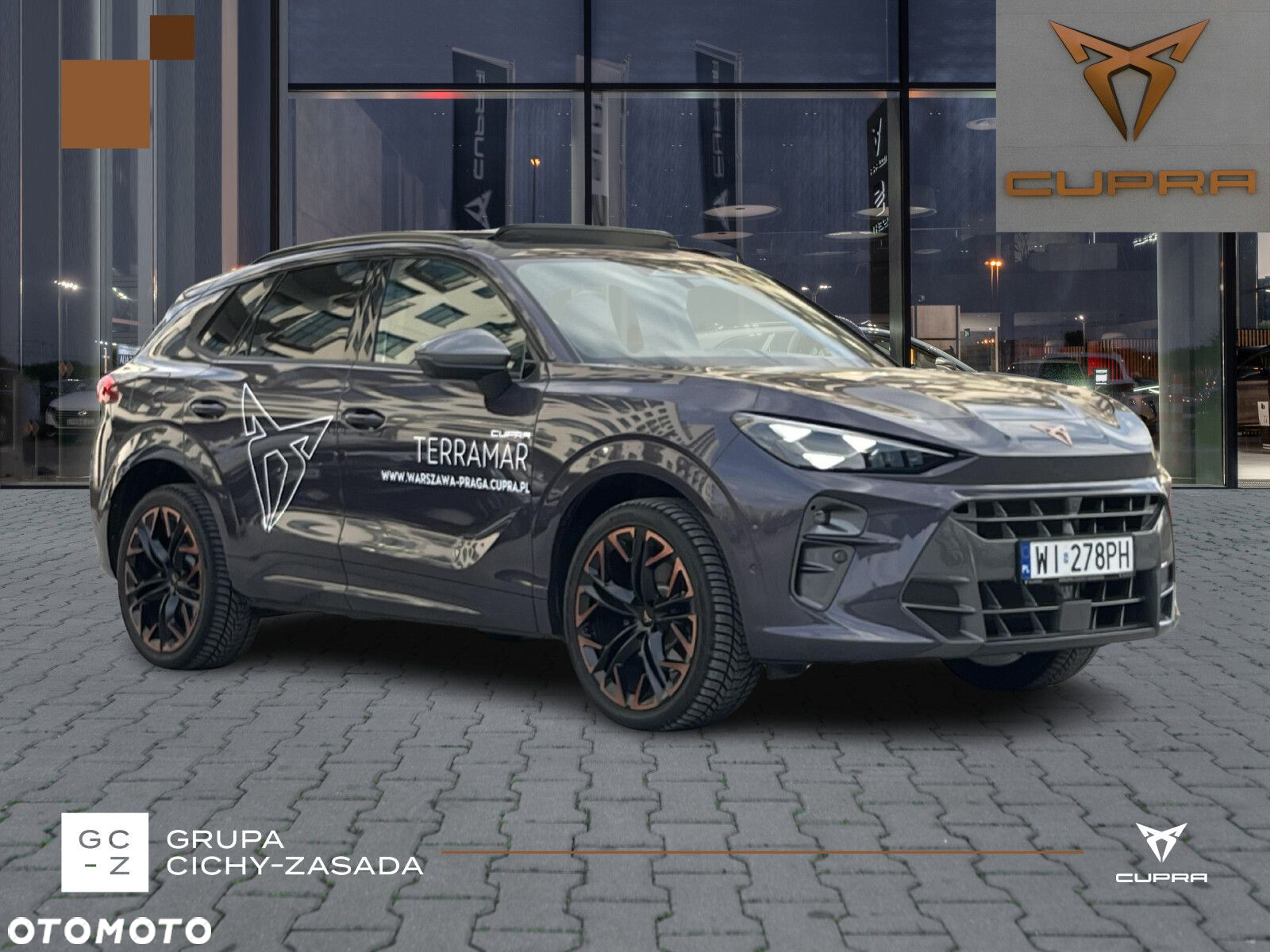 Cupra Terramar - 8