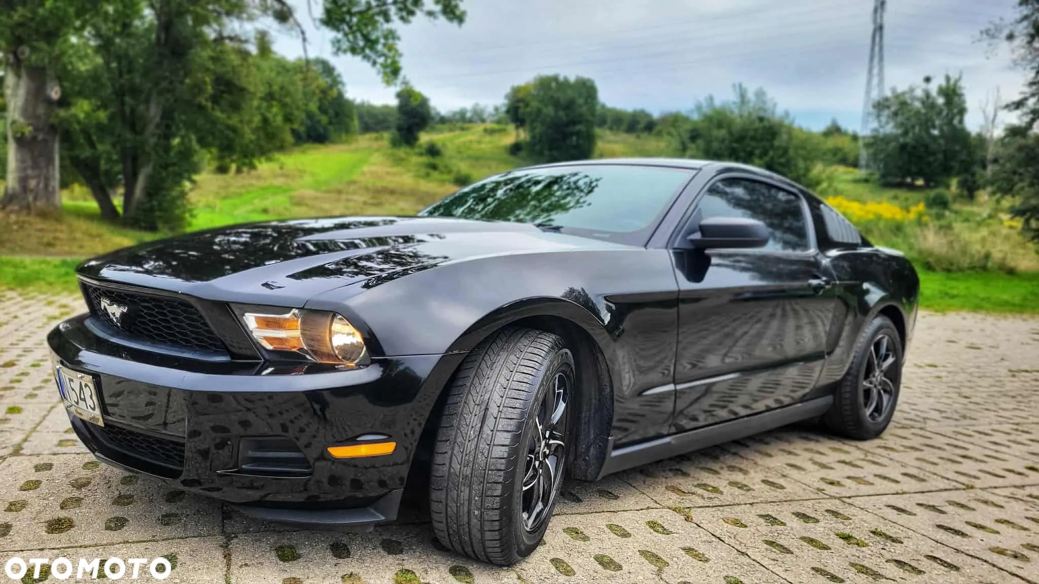Ford Mustang 3.7 V6 - 1