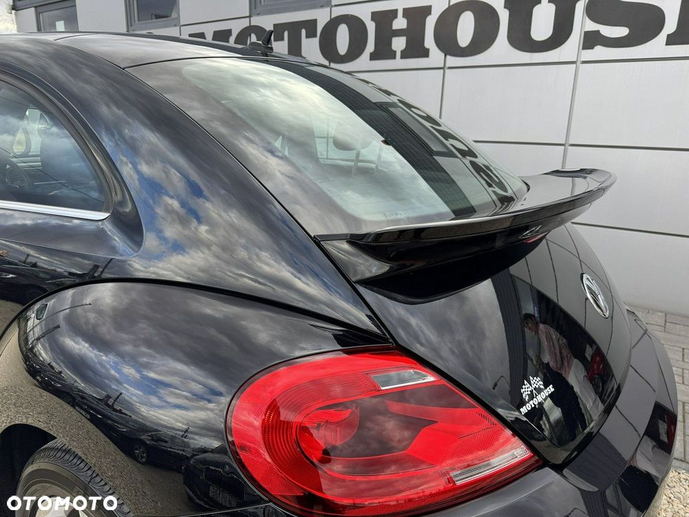 Volkswagen Beetle - 24