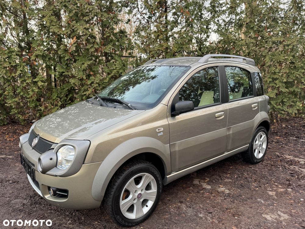 Fiat Panda 1.3 4x4 Multijet Cross - 3