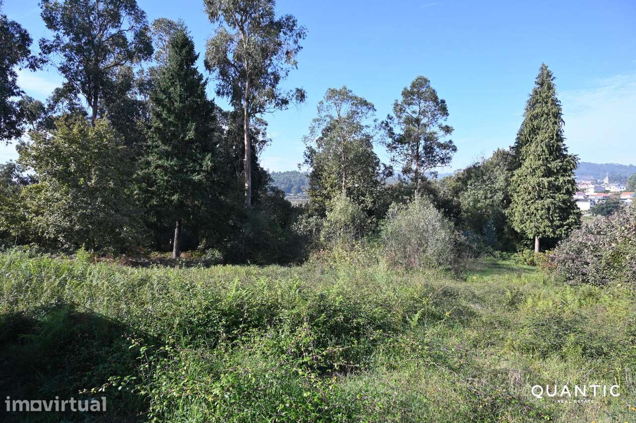 TERRENO PARA INVESTIMENTO NO CENTRO DE PAREDES — 7.800 m2 POR... - Grande imagem: 2/21