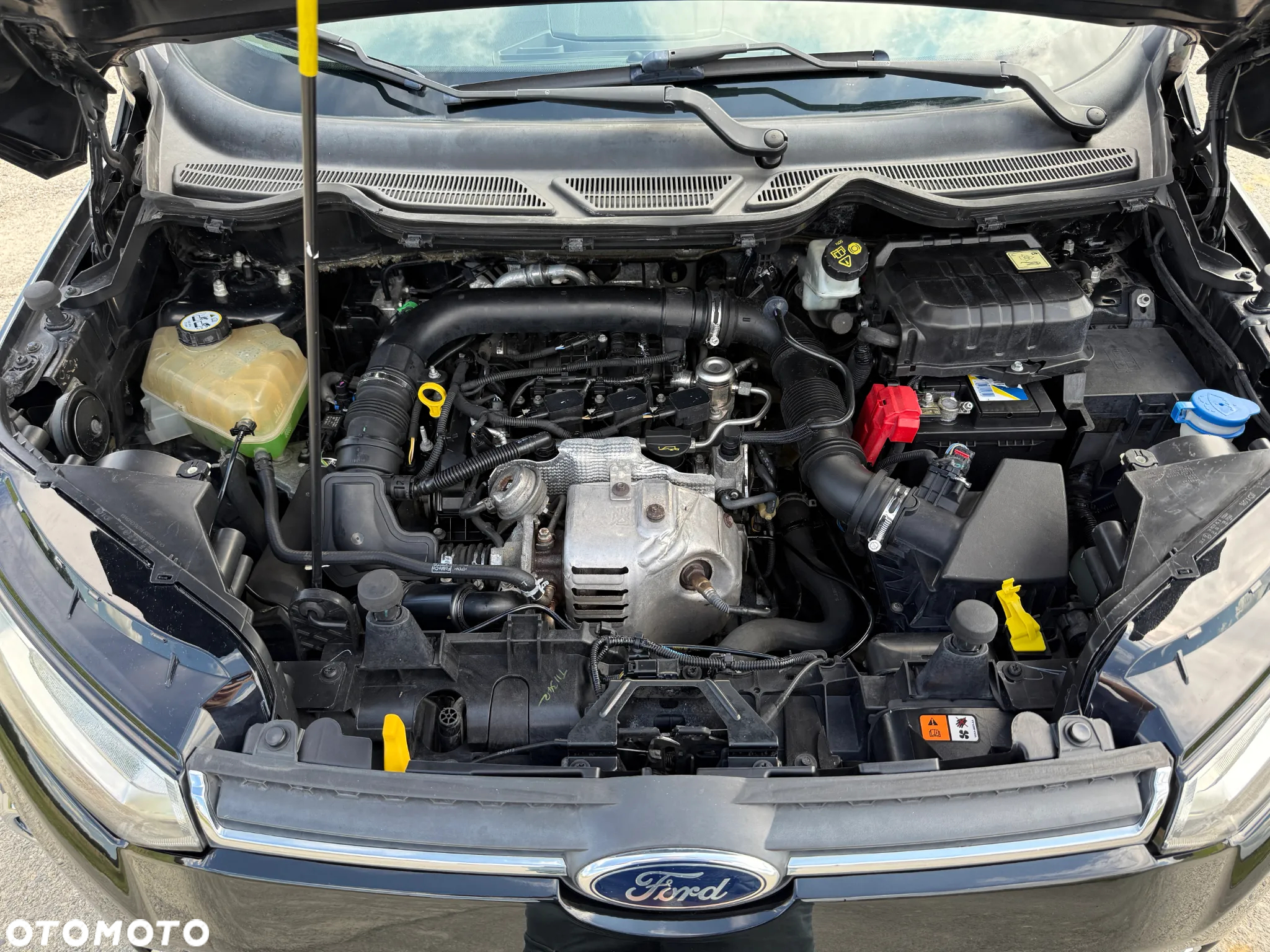 Ford EcoSport 1.0 EcoBoost ACTIVE - 14