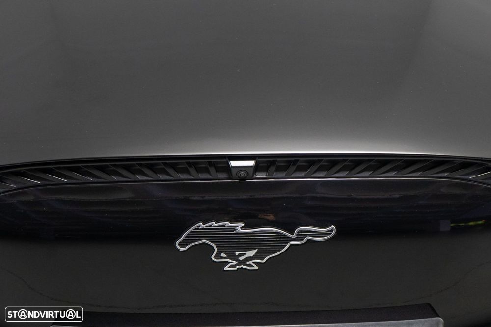 Ford Mustang Mach-E Standard - 16