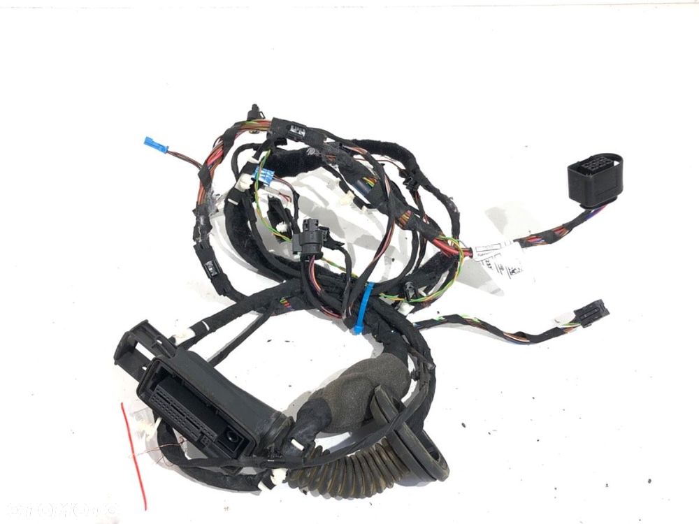 WIĄZKA DRZWI PRZÓD PRAWY  BMW 5 (G30, F90) 2016 - 2022 530 e Plug-in-Hybrid 135 kW [184 KM] - 2