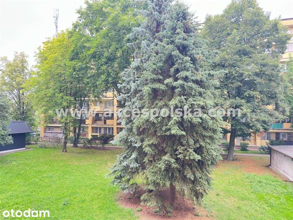 pokój dzienny z małą sypialnią, balkon, ciche