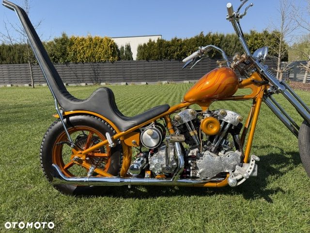 Harley-Davidson Inny - 11