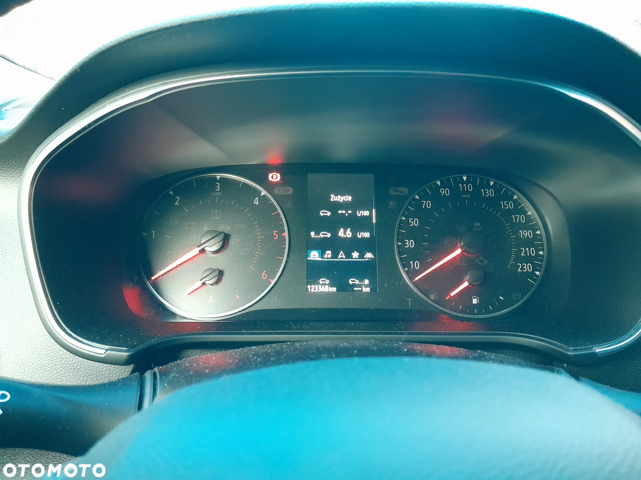 Renault Megane - 18
