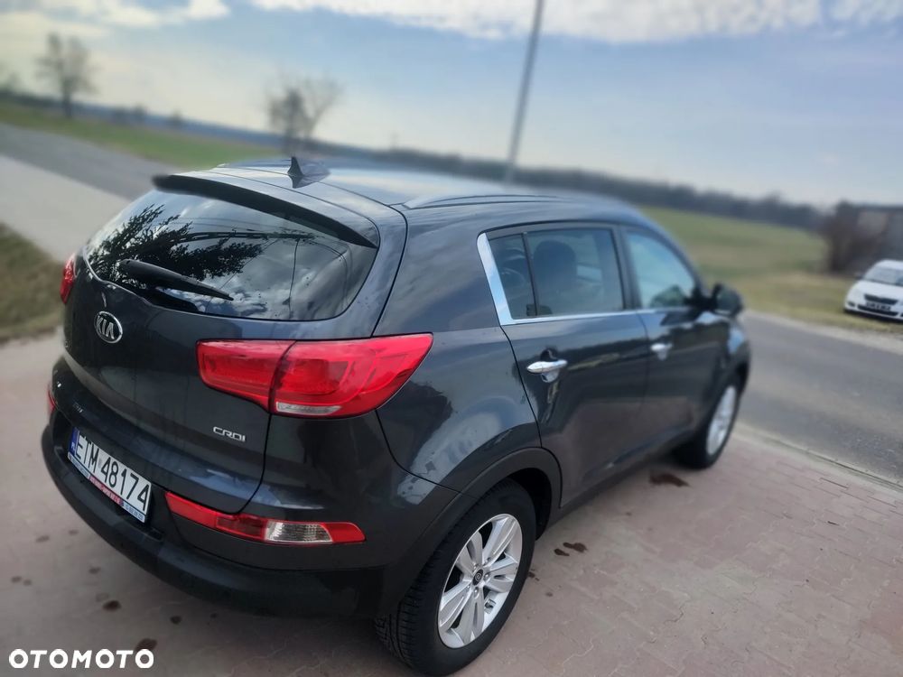 Kia Sportage - 16