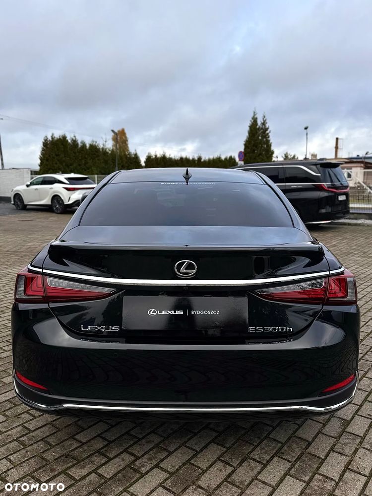 Lexus ES 300h Omotenashi - 5