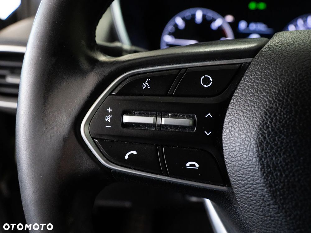 Hyundai Santa Fe 2.0 CRDi Executive 4WD - 19