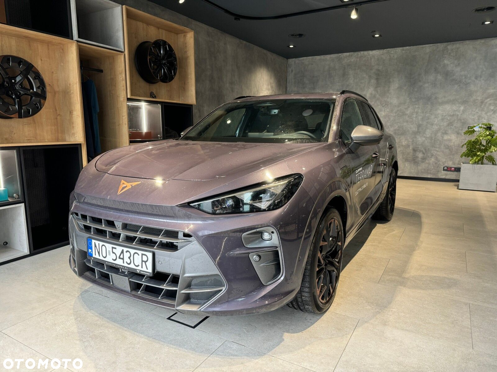 Cupra Terramar - 2