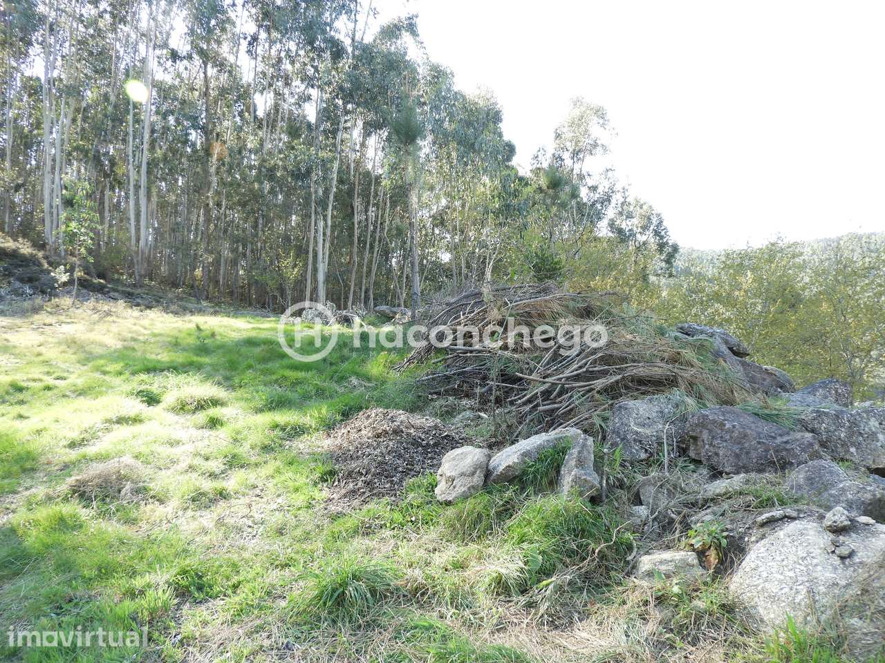 Terreno Rústico com 3051m2 Quintiães - Barcelos - Grande imagem: 5/8