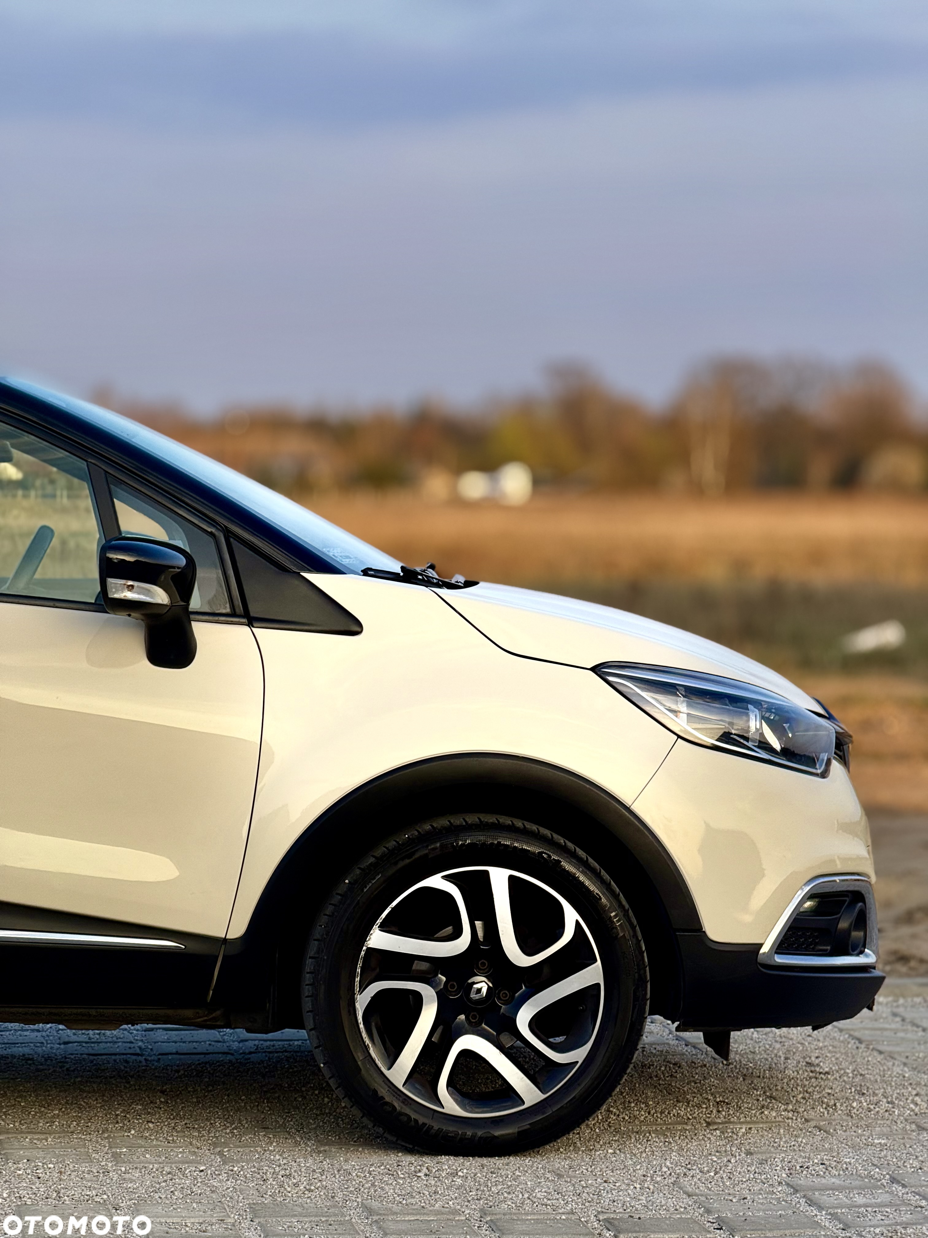 Renault Captur - 38