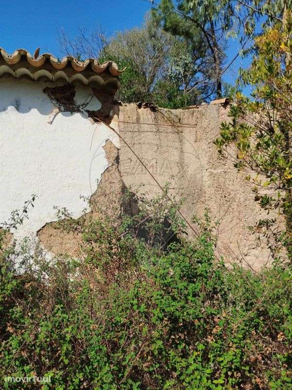 Terreno  para venda - Grande imagem: 5/16