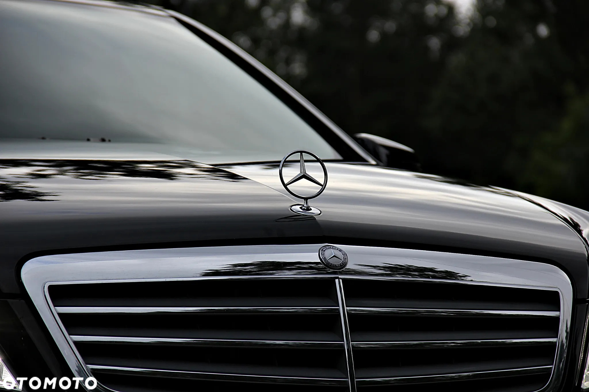 Mercedes-Benz Klasa E 200 Kompressor Elegance - 7