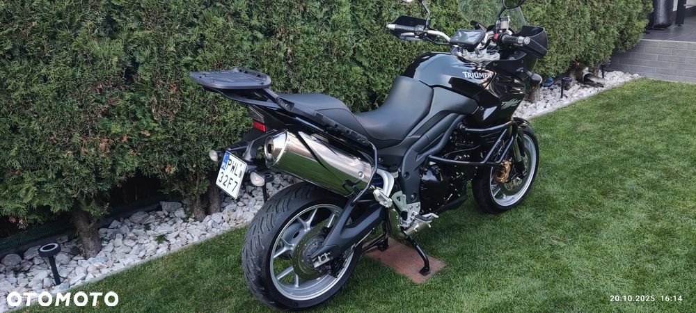 Triumph Tiger - 9