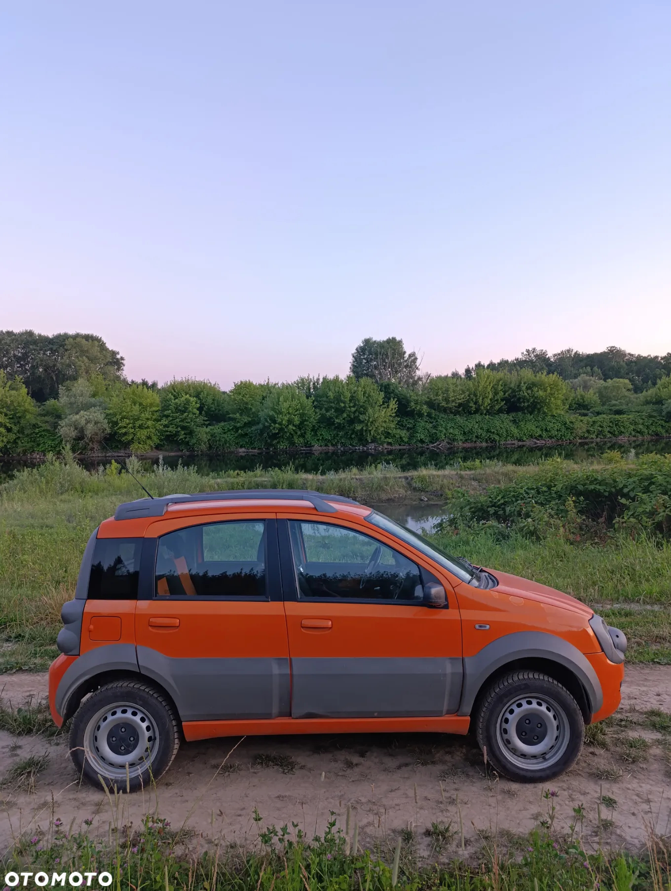 Fiat Panda 1.3 4x4 Multijet Diesel Cross - 7