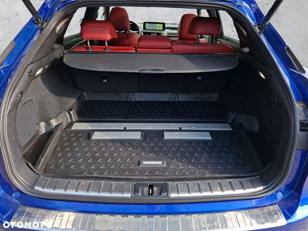 Lexus RX 450h F Sport Edition - 25