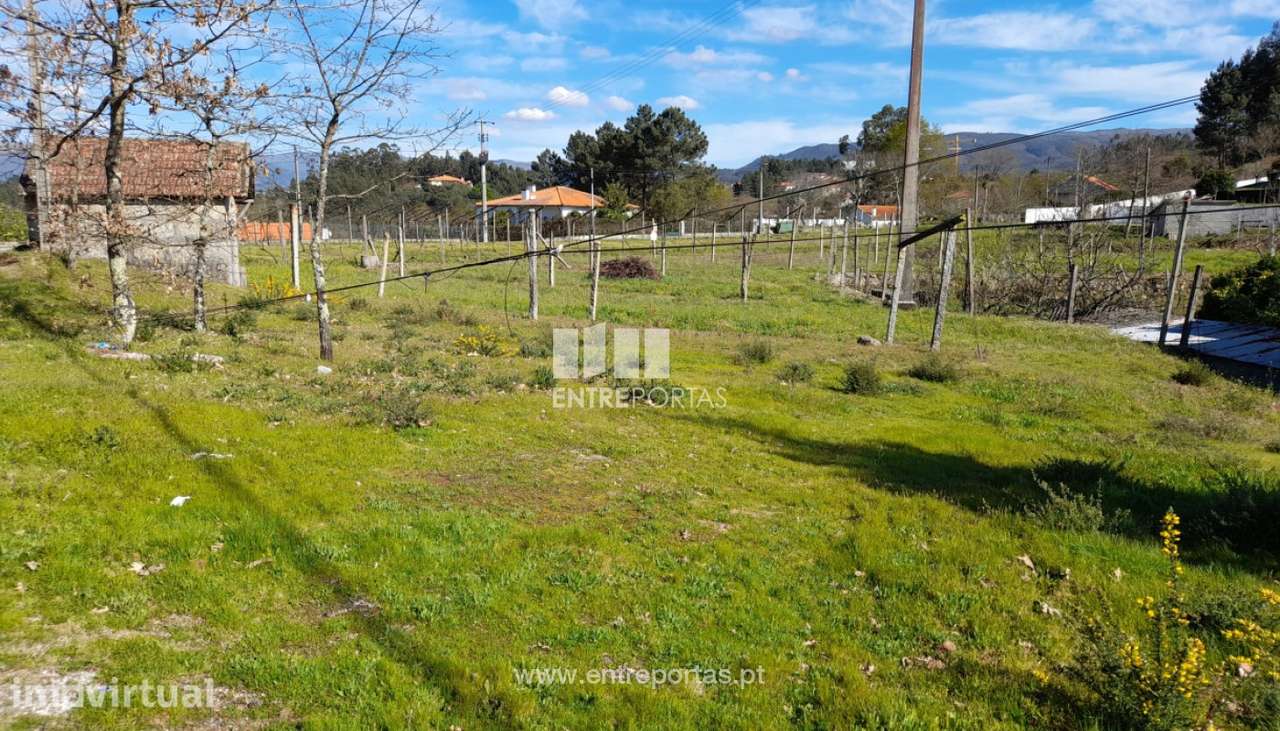 Venda Terreno, Salvador do Monte, Amarante - Grande imagem: 4/41