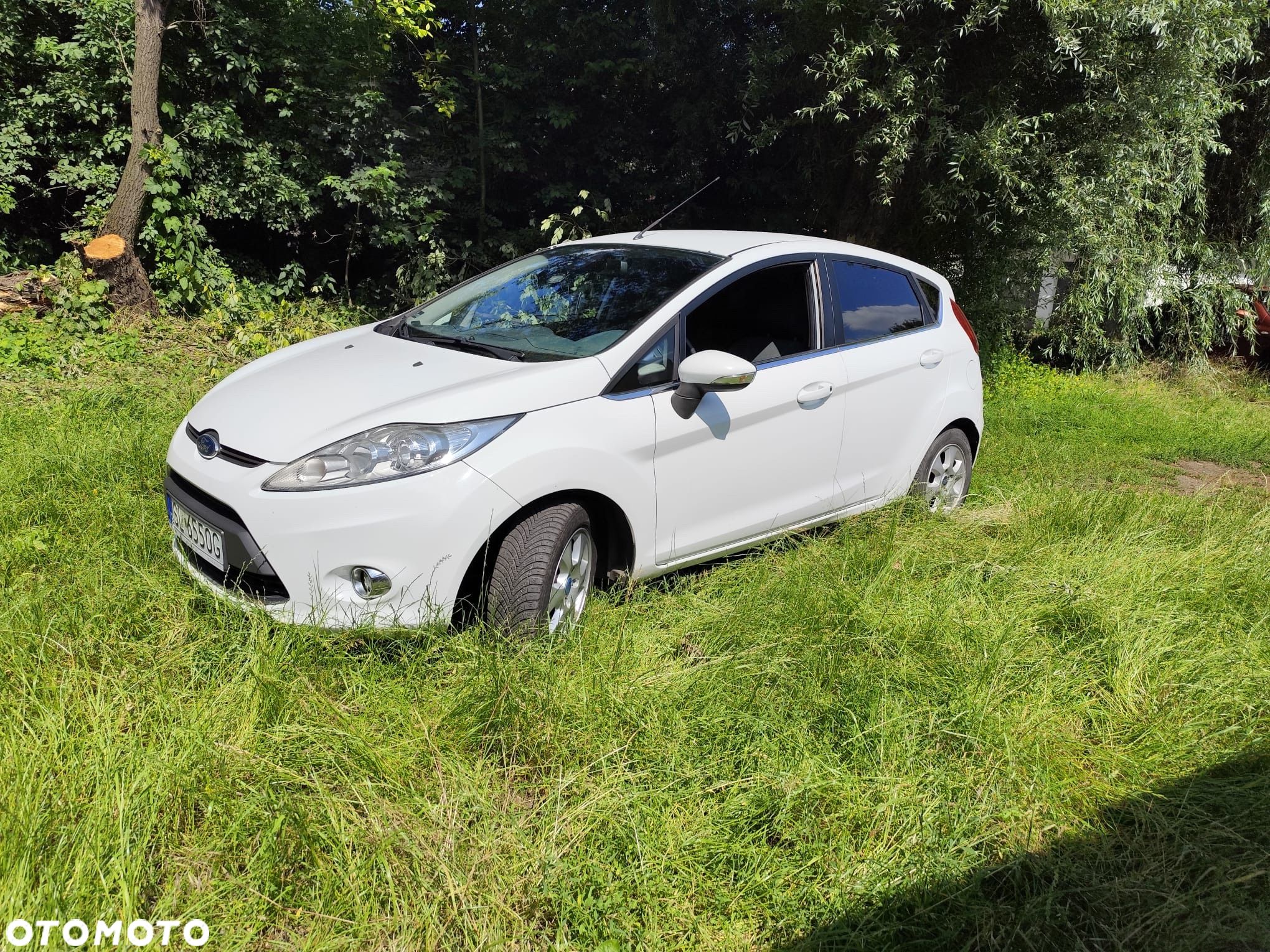 Ford Fiesta 1.6 TDCi DPF Trend - 1