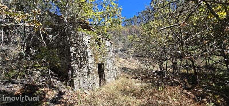 Quinta com Ruínas e Água de Mina – Projeto Off-Grid Total - Grande imagem: 2/9