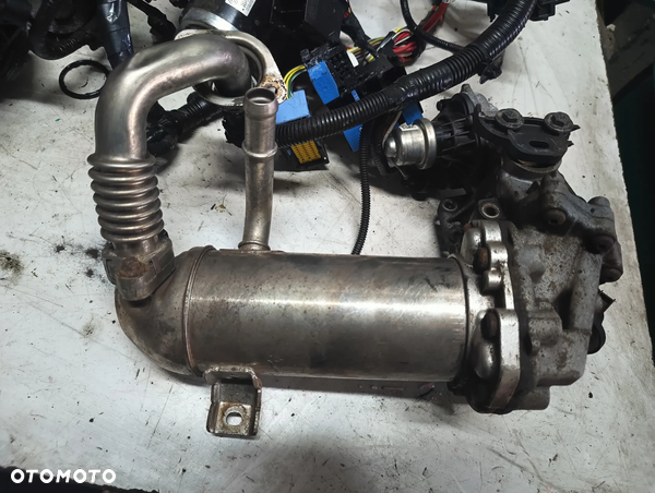 EGR CHLODNICZKA GK2Q-9F464-AD FORD 2.0 ECO BLUE