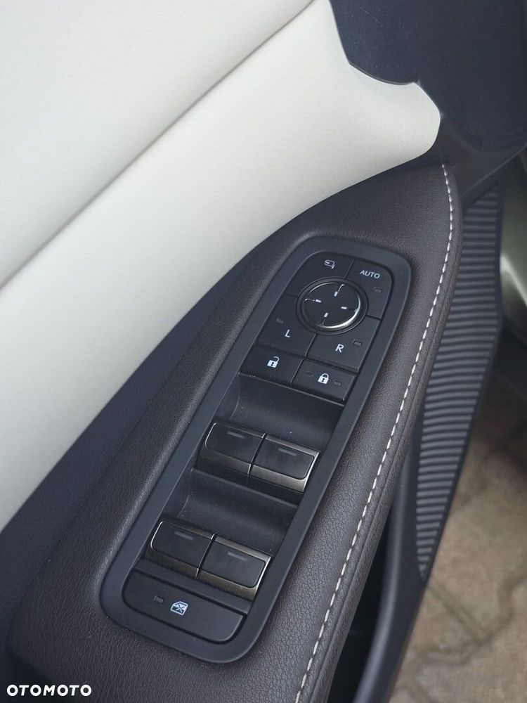 Lexus RX - 16