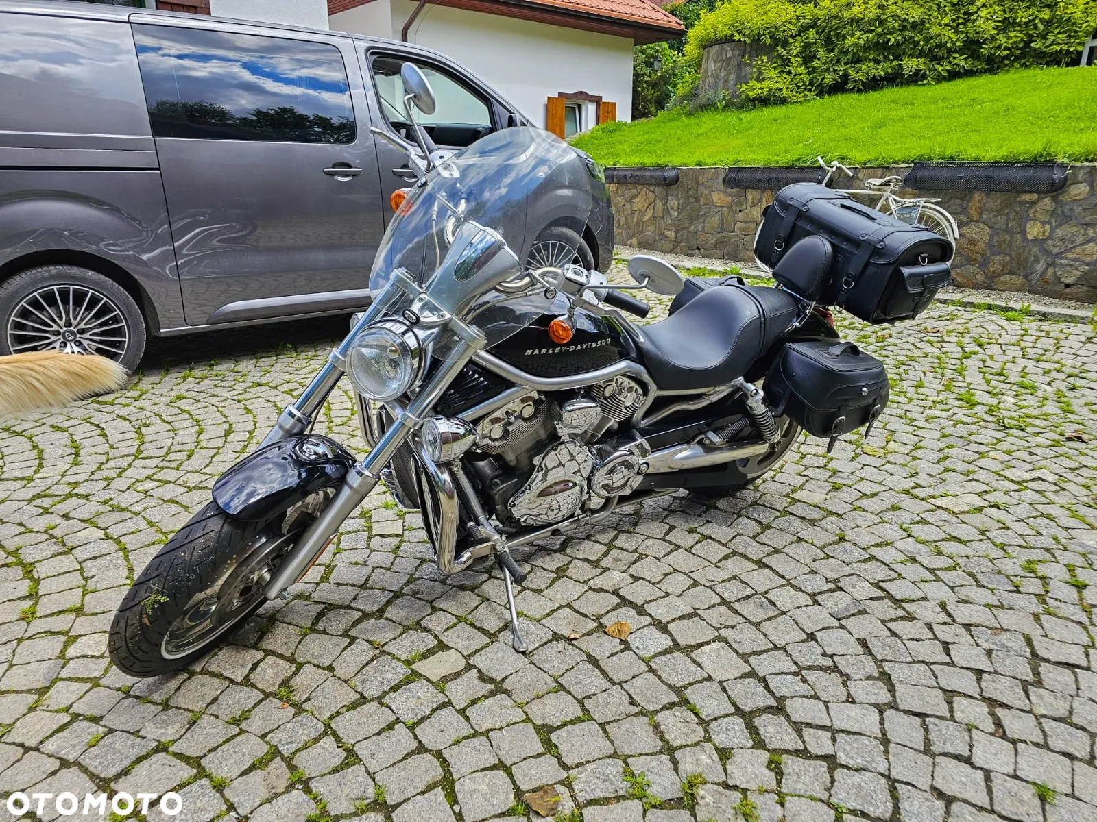 Harley-Davidson V-Rod Street Rod - 8
