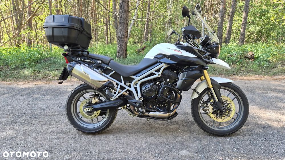 Triumph Tiger - 6