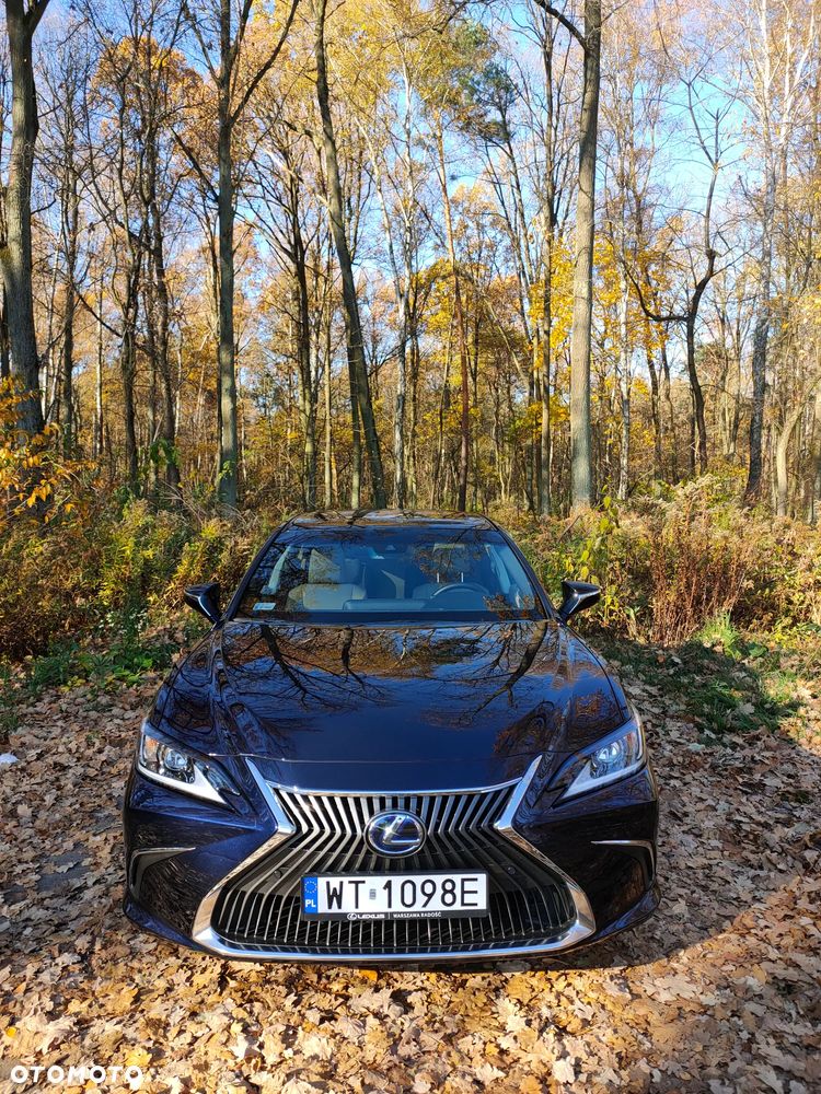 Lexus ES 300h Business Edition + - 7