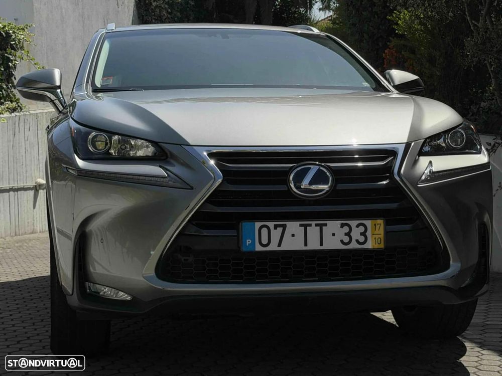 Lexus NX 300h Executive+ - 14