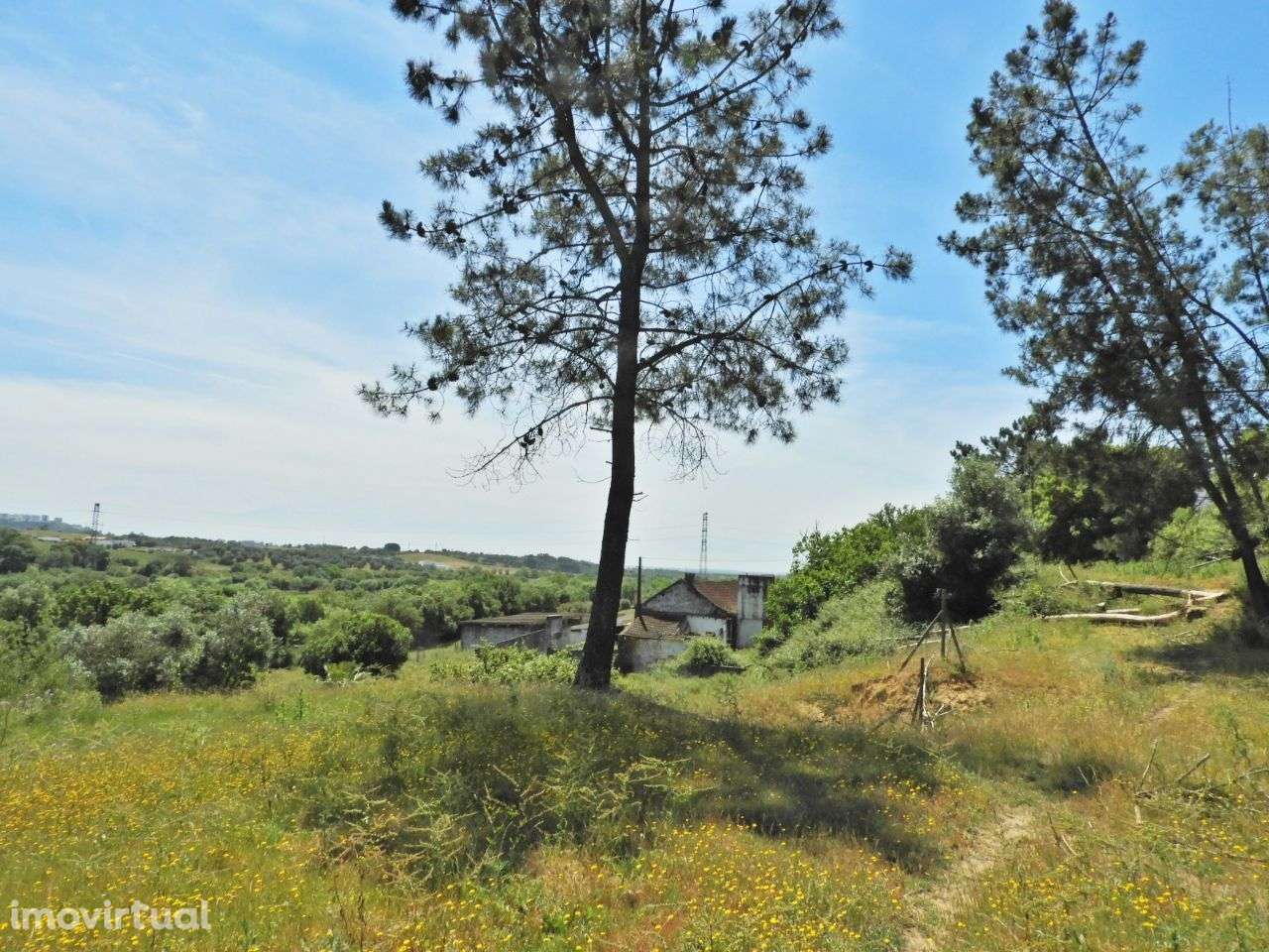 Quintinha com 44.020 m2 de terreno - Grande imagem: 4/20