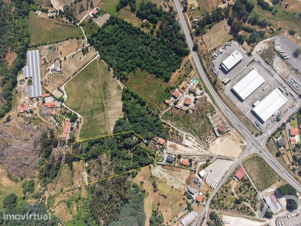 Quinta em Mangualde, Mesquitela e Cunha Alta - Grande imagem: 2/6