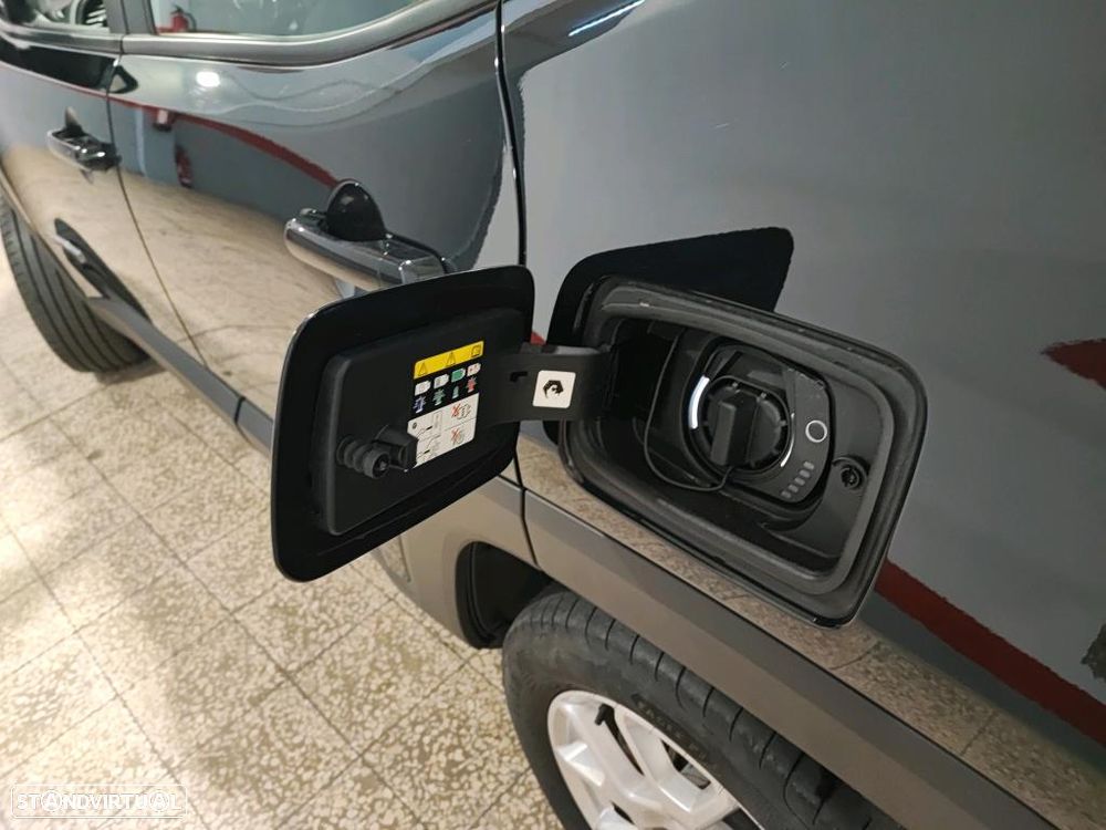 Jeep Renegade 1.3 TG Limited - 10