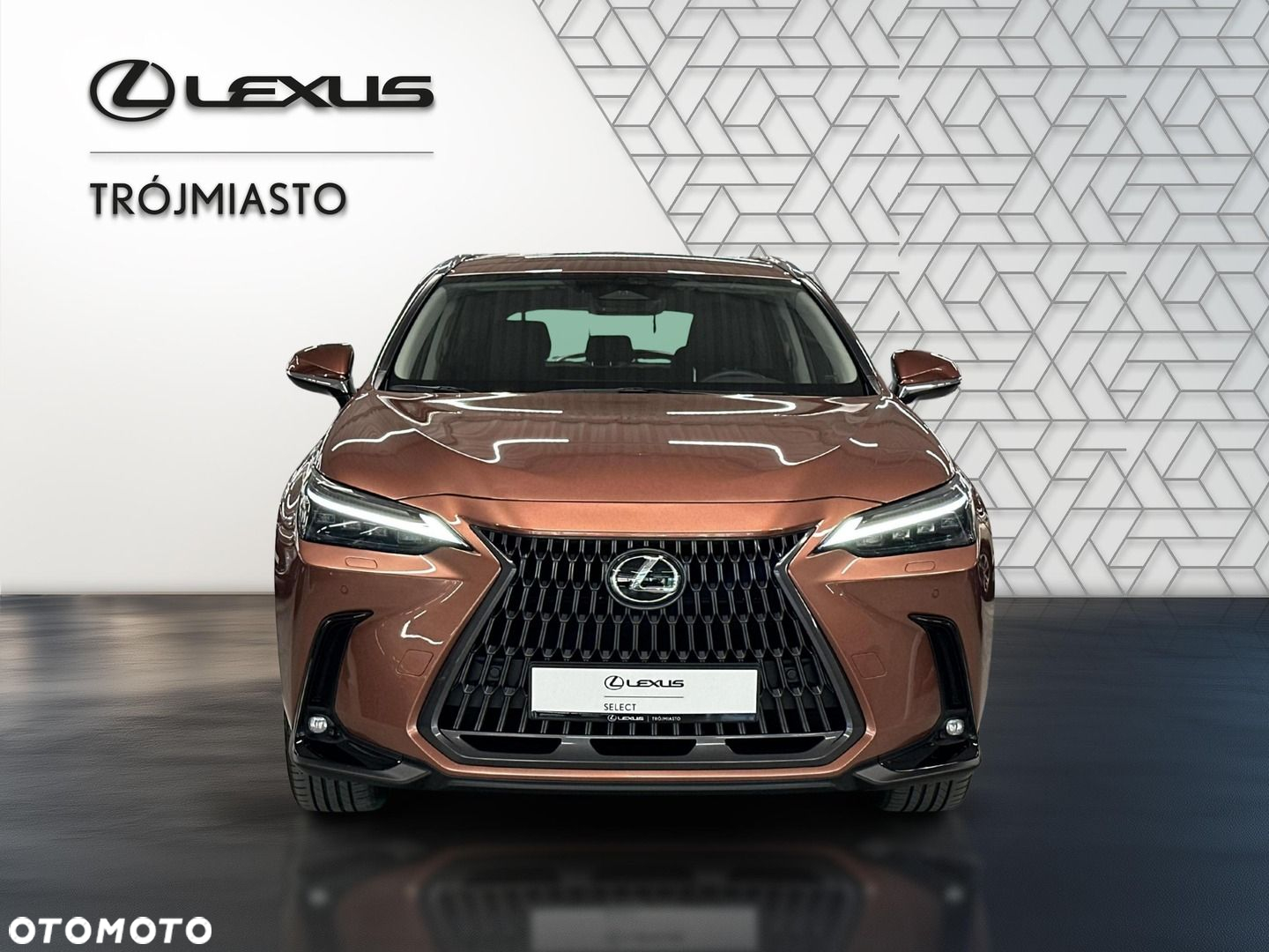 Lexus NX - 9