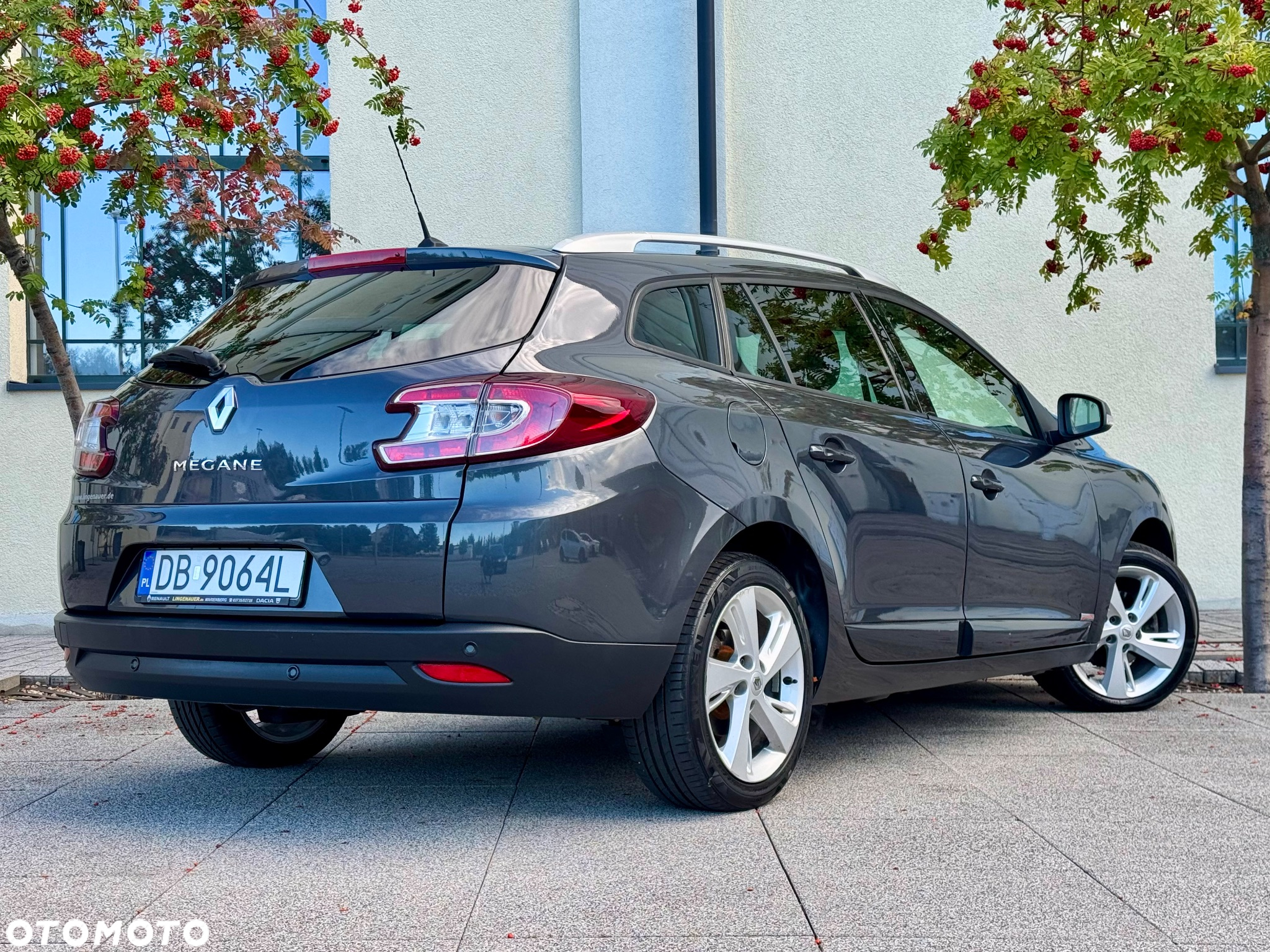 Renault Megane 1.6 16V Limited - 27