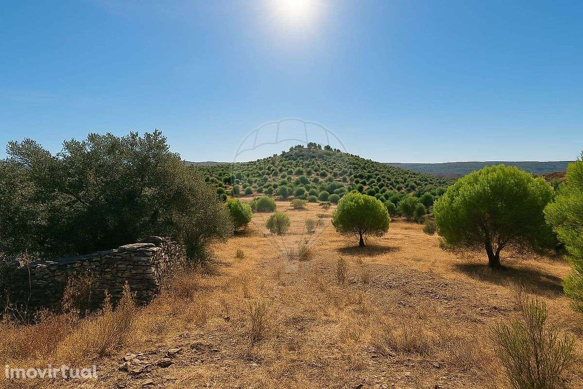 Terreno  para venda - Grande imagem: 3/13